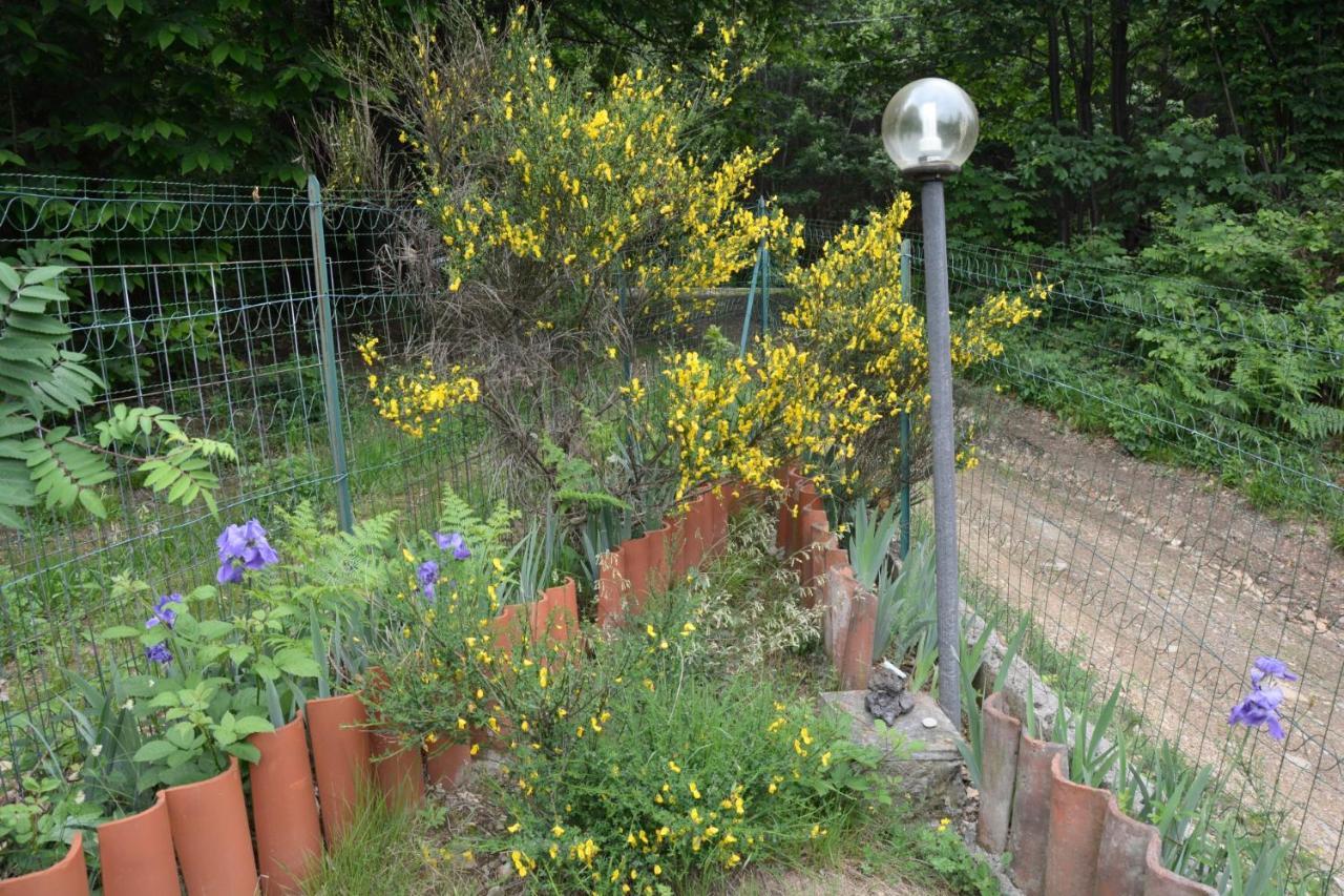Casa Omnia B&B Castellamonte 外观 照片